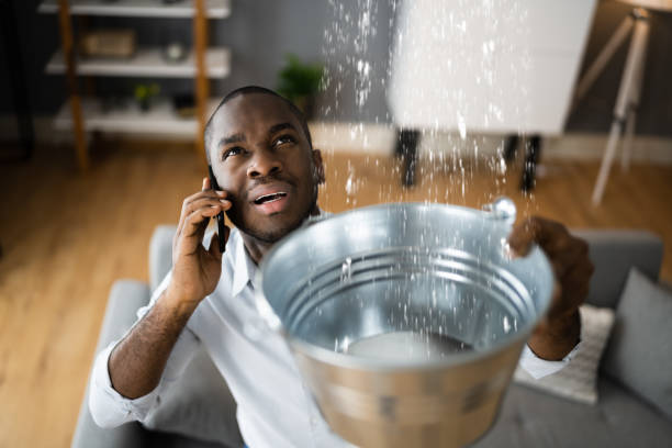 Best Flooded house restoration  in Coldwater, MI