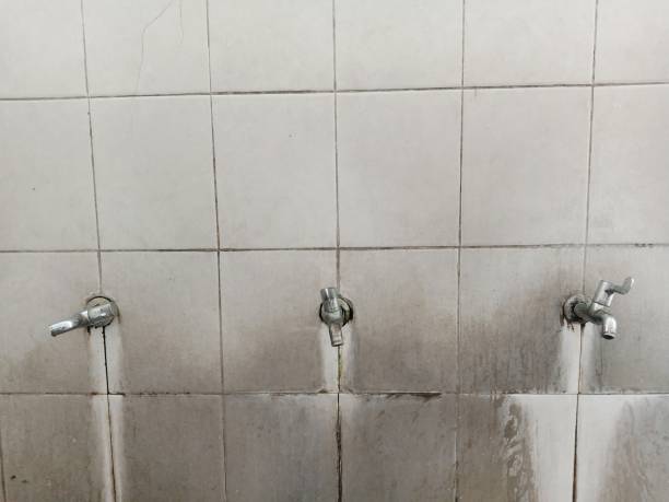 Best Carpet water damage restoration  in Coldwater, MI