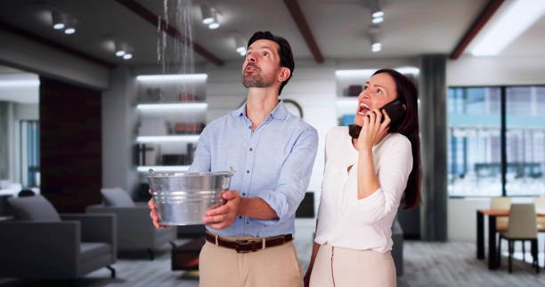Best Water damage cleanup near me  in Coldwater, MI